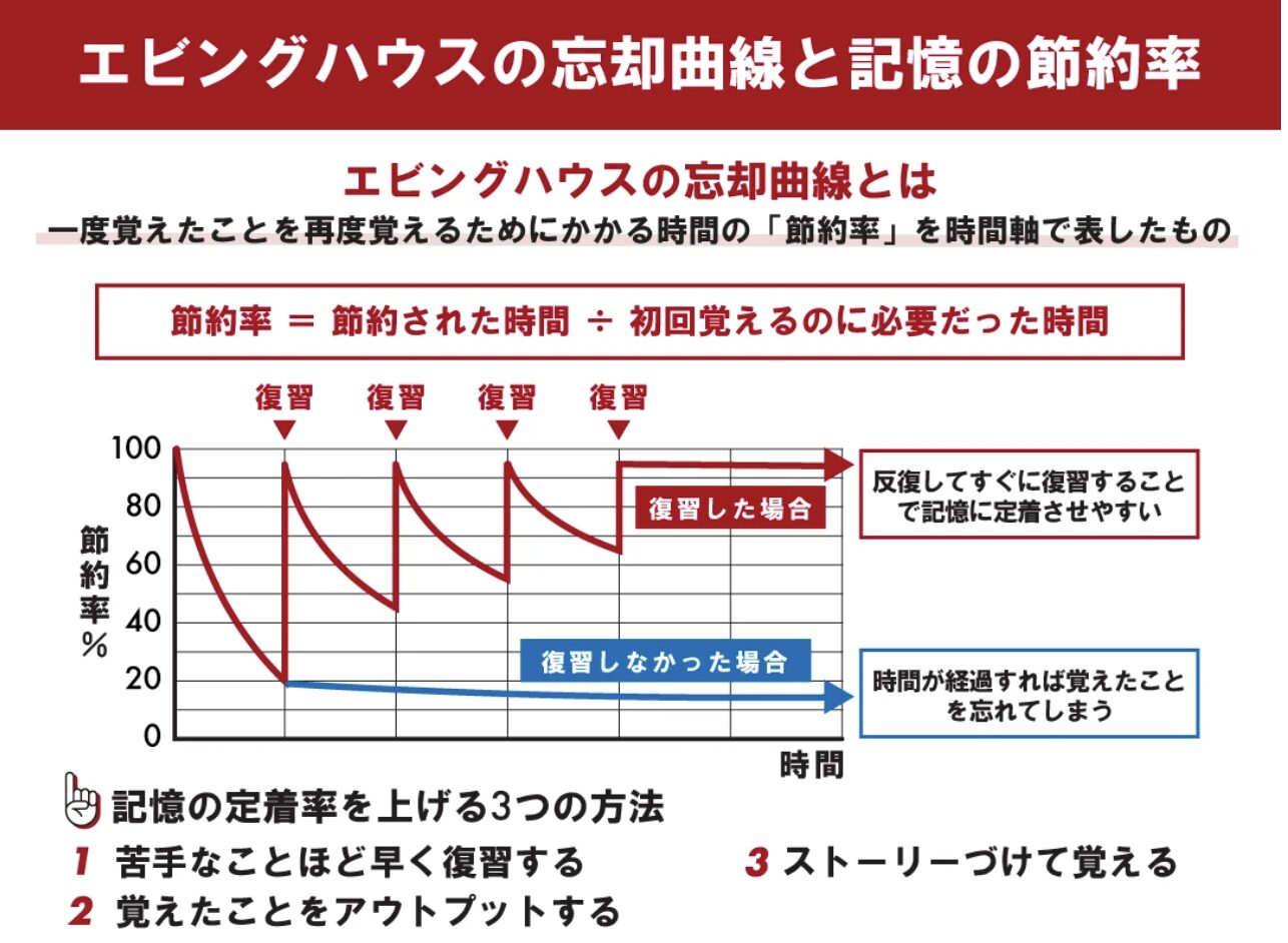 エビングハウスの忘却曲線と記憶の節約率